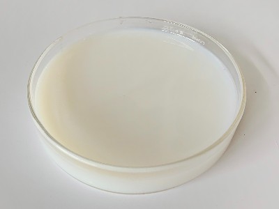 高效防銹，長久保護(hù)！——了解防銹漆乳液2502的性能